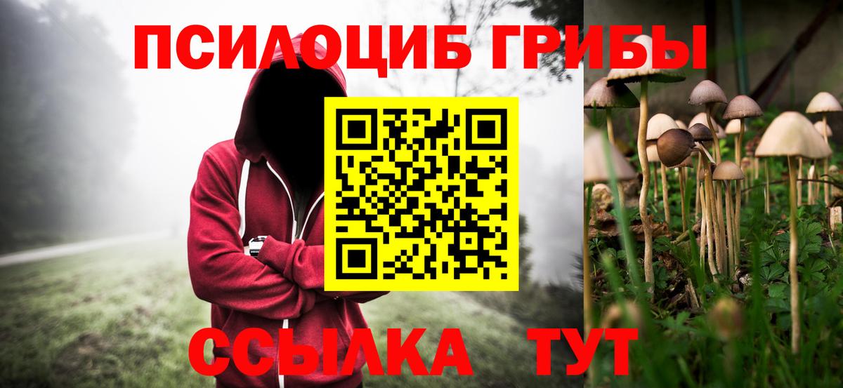 Галлюциногенные грибы MAGIC MUSHROOMS  хочу наркоту  Вышний Волочёк  Вход с VPN  Галлюциногенные грибы Magic Shrooms 